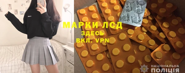 СК Медвежьегорск