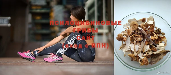 винт Мегион