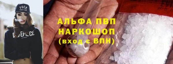 ECSTASY Магас