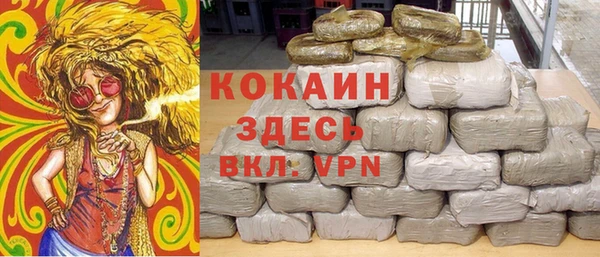 винт Мегион