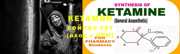 СК Медвежьегорск