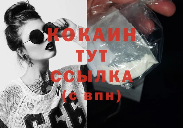 шишки Майский