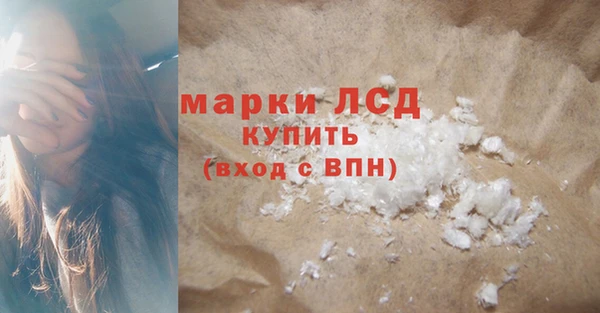 СК Медвежьегорск